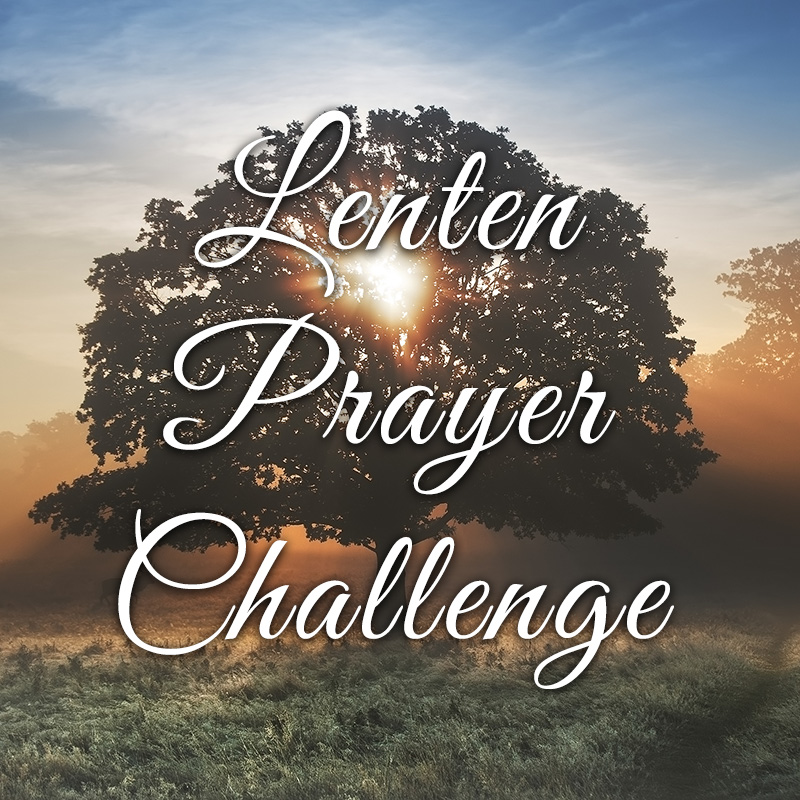 Lenten Prayer Challenge